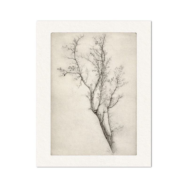 Living Room Vintage Painting Canvas Art Picture Poster featuring minimalist black and white nature sketches in a modern gallery wall layout. Ideal for home decor in a fashion and simplicity style.