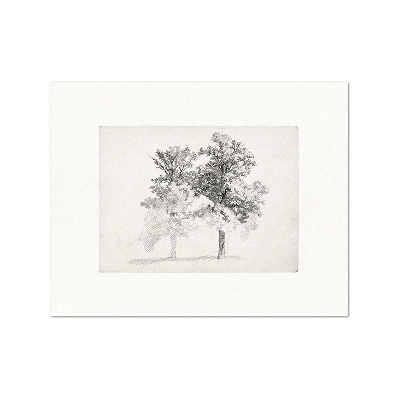 Living Room Vintage Painting Canvas Art Picture Poster featuring minimalist black and white nature sketches in a modern gallery wall layout. Ideal for home decor in a fashion and simplicity style.