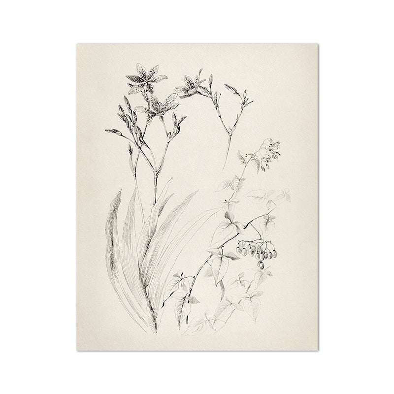 Living Room Vintage Painting Canvas Art Picture Poster featuring minimalist black and white nature sketches in a modern gallery wall layout. Ideal for home decor in a fashion and simplicity style.