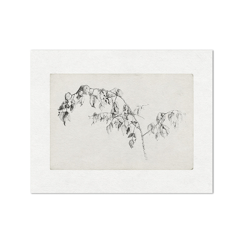 Living Room Vintage Painting Canvas Art Picture Poster featuring minimalist black and white nature sketches in a modern gallery wall layout. Ideal for home decor in a fashion and simplicity style.