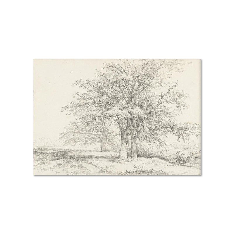 Living Room Vintage Painting Canvas Art Picture Poster featuring minimalist black and white nature sketches in a modern gallery wall layout. Ideal for home decor in a fashion and simplicity style.