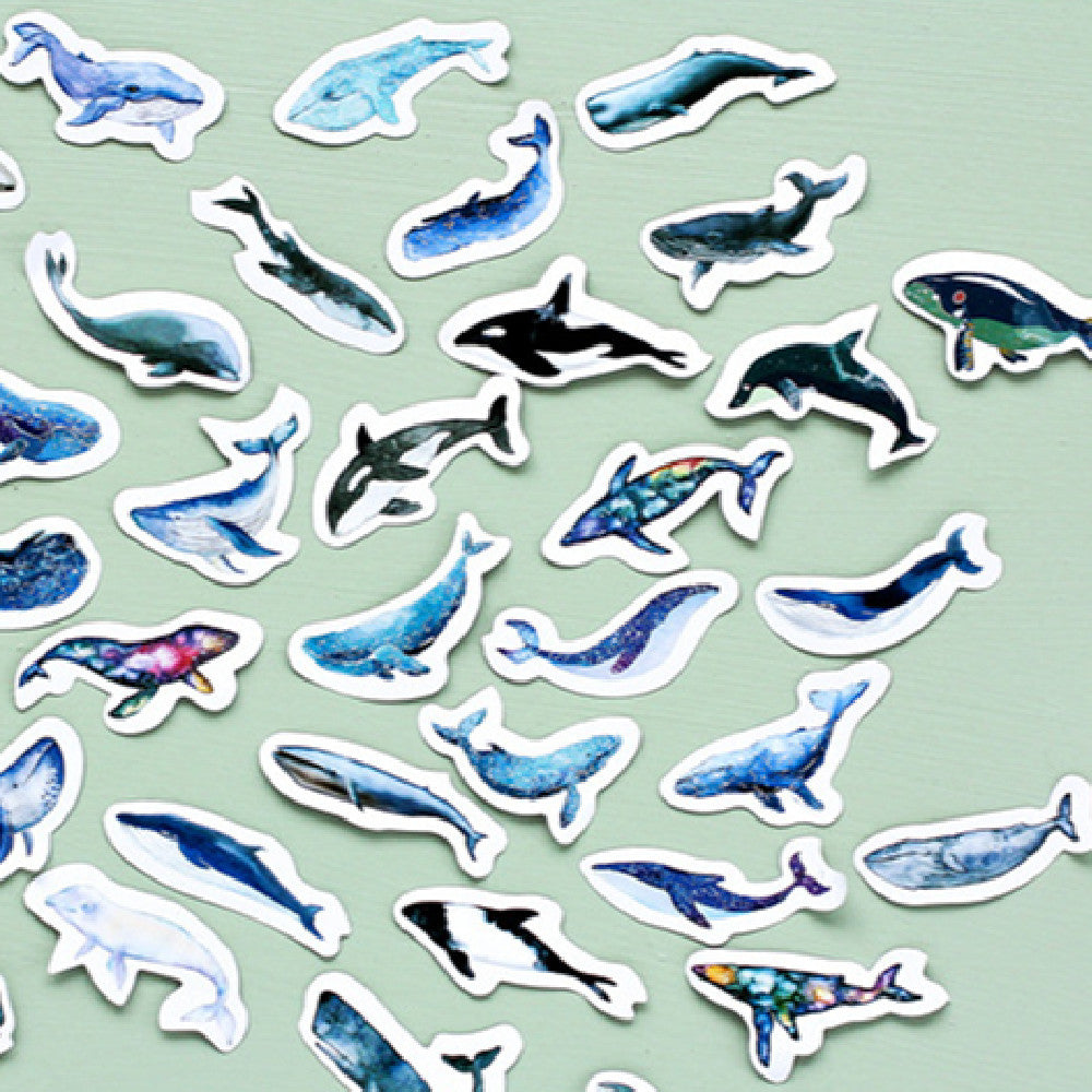Box-packed Stickers Whale Tent Sticker Decorative Sealing Stickers featuring 45 colorful whale-themed designs in Japanese style for crafts and journaling.